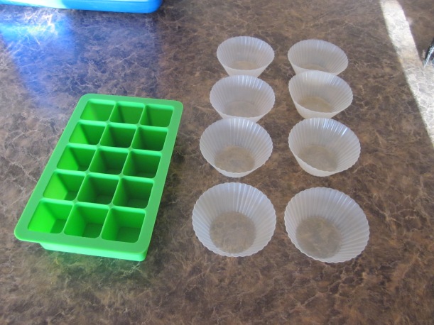 Silicone cupcake and candy molds